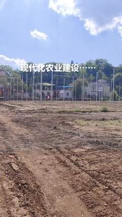 鼎尚銘 專注網(wǎng)絡(luò)技術(shù)開發(fā)，賦能數(shù)字化未來